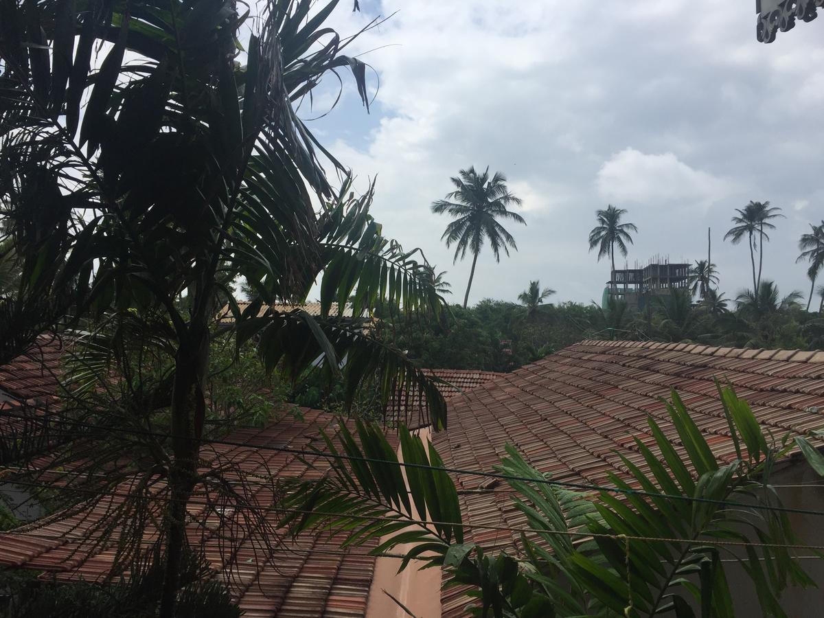 Bee Nest Bed & Breakfast เนกอมโบ ภายนอก รูปภาพ